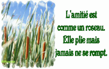 l'amiti�