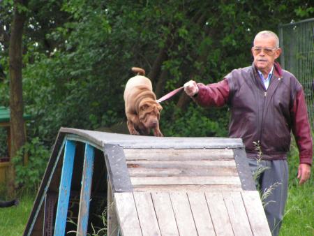 moi aussi je fais du sport!!!