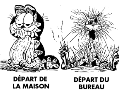 voila la semaine de boulot reprend...